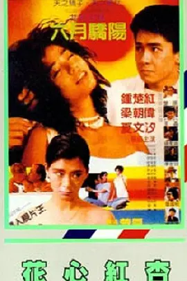 BD国语电影免费在线