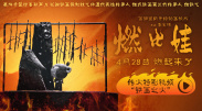 完结完整版观看