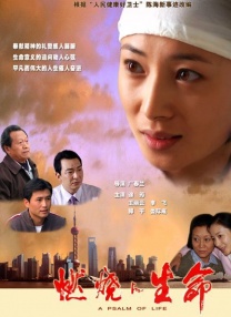 简繁英字幕
