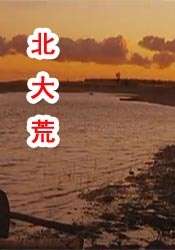高清版在线观看
