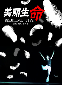 完结完整版观看