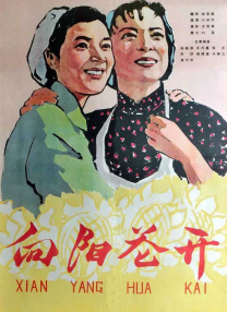 杜比视界